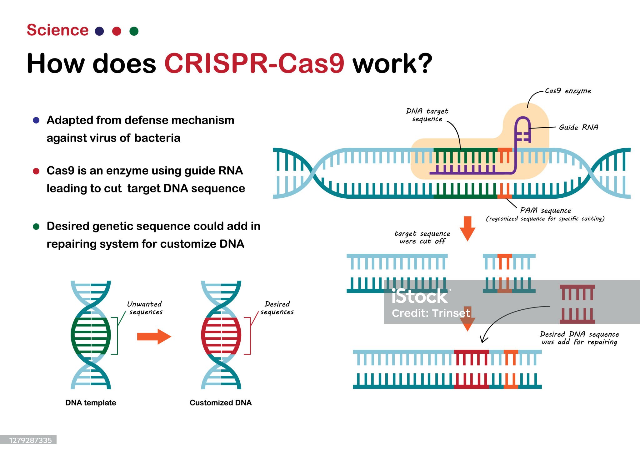 CRISPR-Cas9