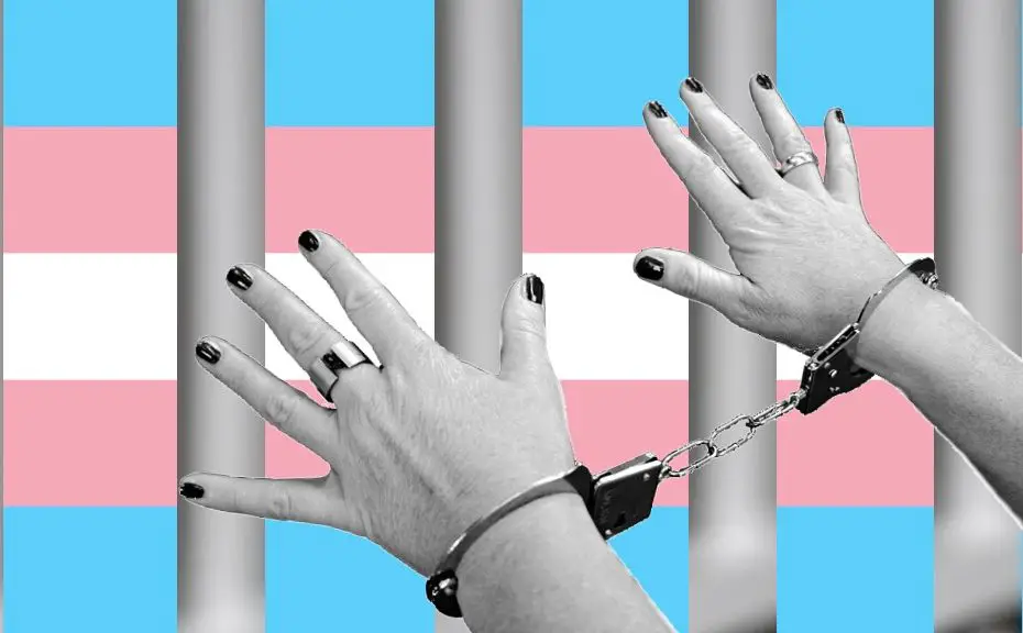 Understanding Where do Transgender Prisoners Go?