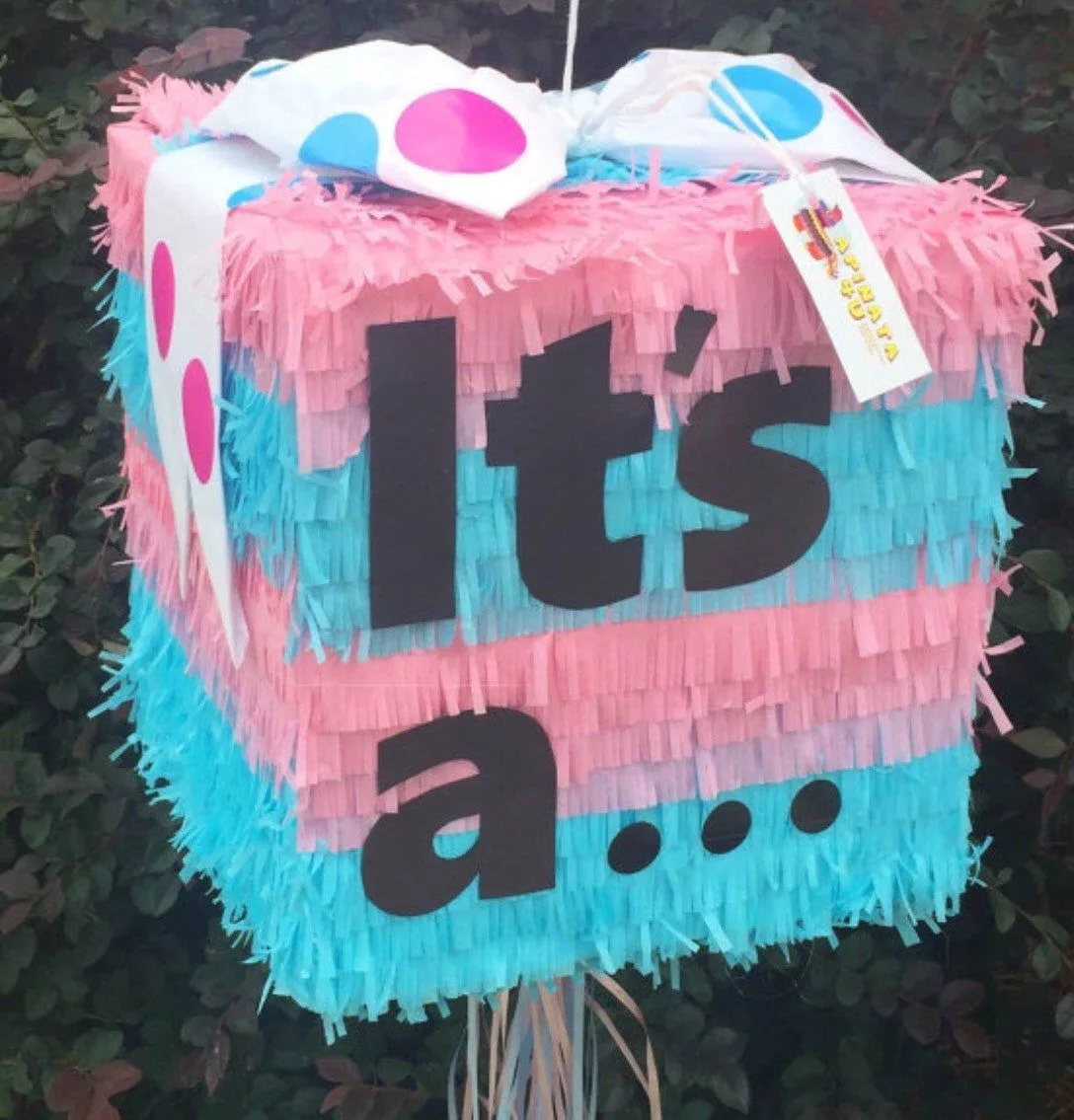 Gender Reveal Piñata