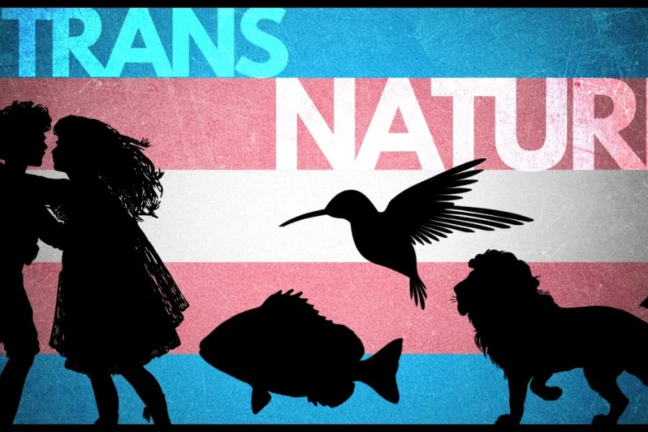 Exploring Gender Diversity in the Animal Kingdom: Transgender, Non-Binary, and Intersex Perspectives