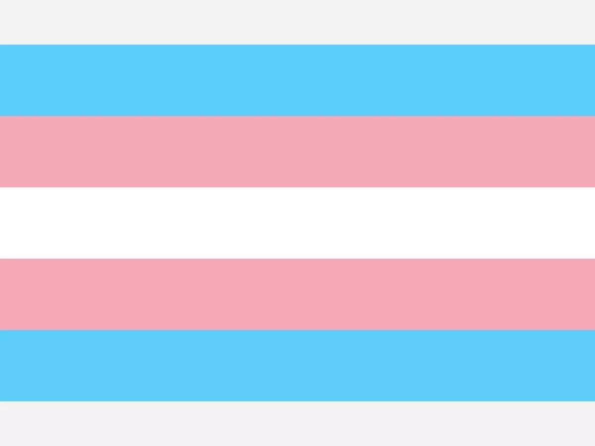 transgender flag